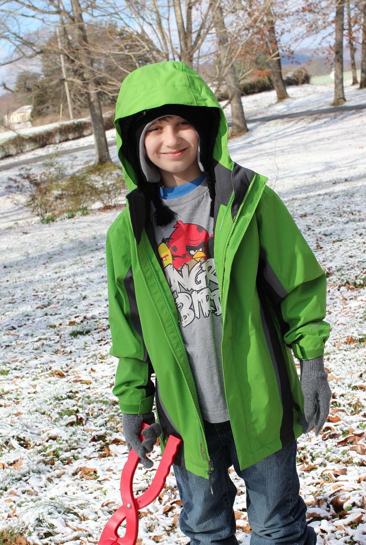 Dickerson Diaries FIAR Katy and the Big Snow & Snow Fun